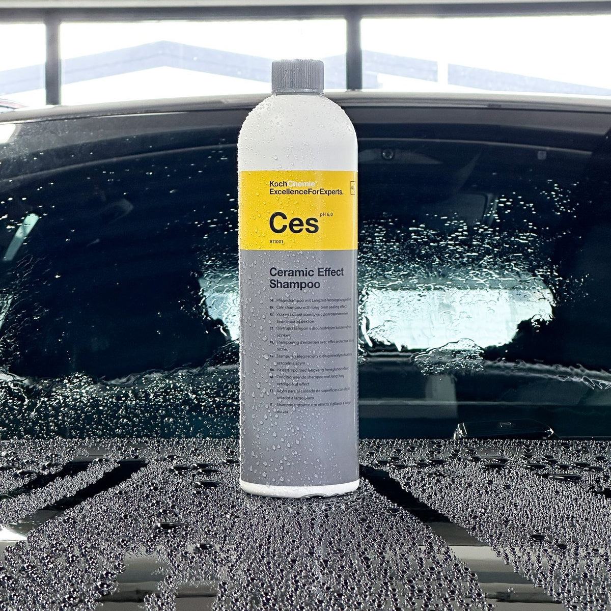 Ceramic Effect Shampoo "Ces" Maintenance Shampoo with Long-Term Sealant Effect