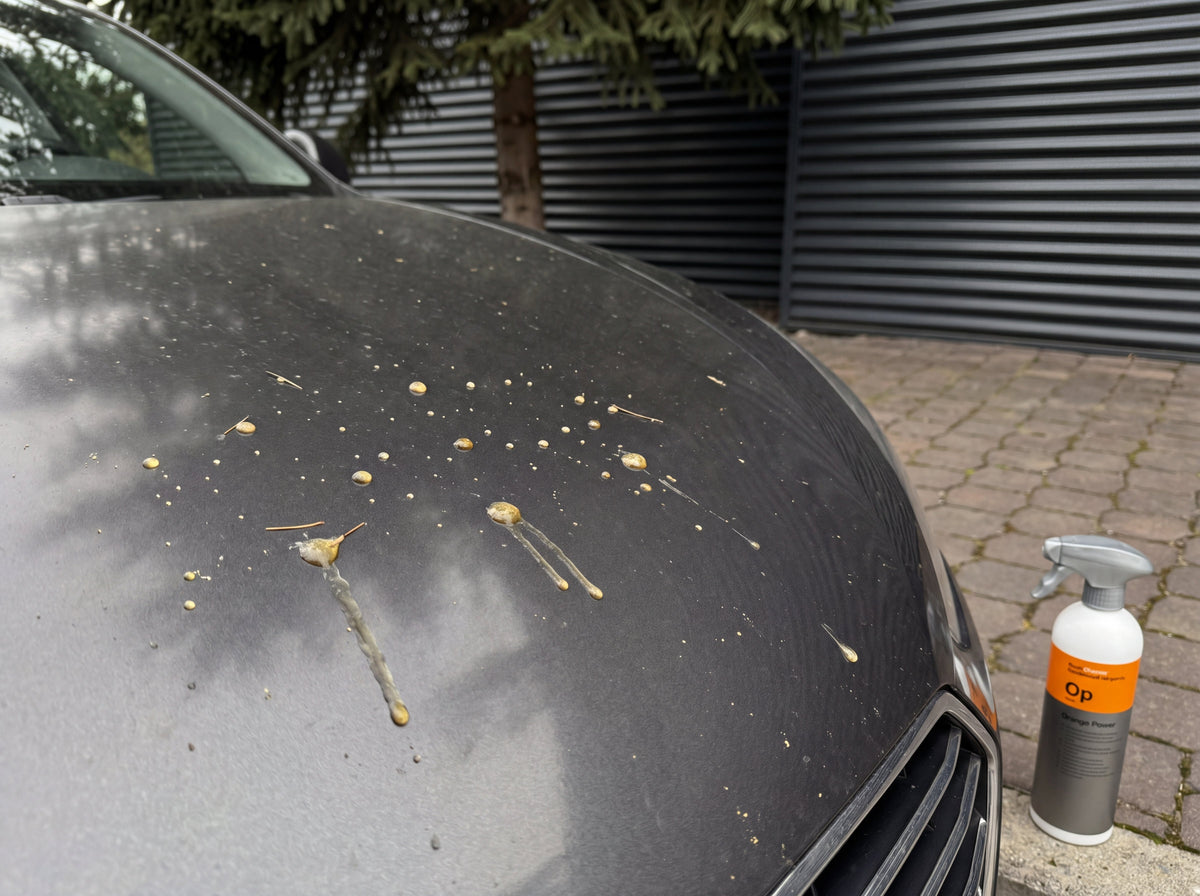Motorhaube mit scattered Baumharz-Tropfen und Rinnspuren, Koch-Chemie Orange Power auf dem Pflaster